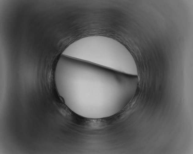 X0000088180623200705150940