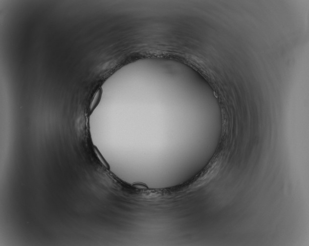 X0000088180624200705150940