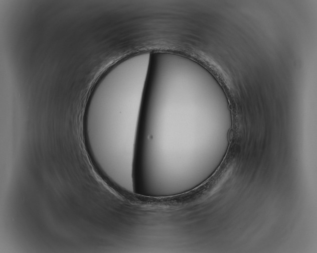 X0000088180625200705150940