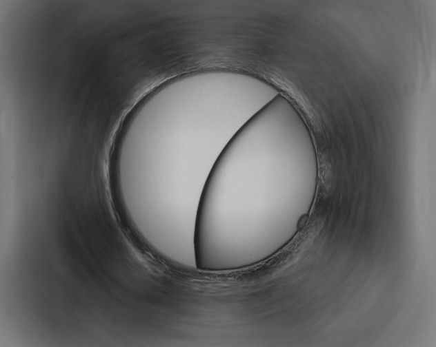 X0000088180626200705150940