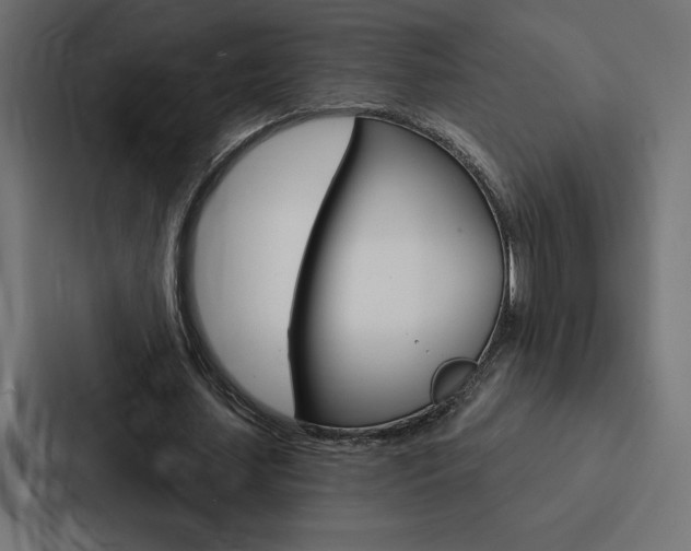 X0000088180627200705150940