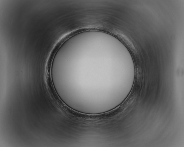 X0000088180628200705150940