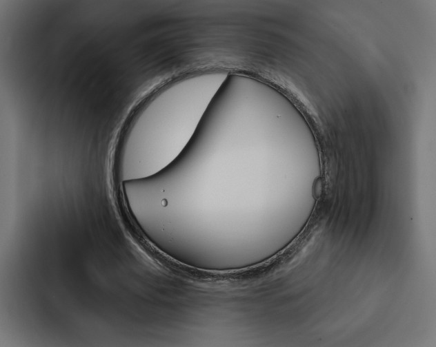 X0000088180629200705150940