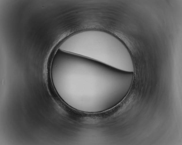 X0000088180630200705150940