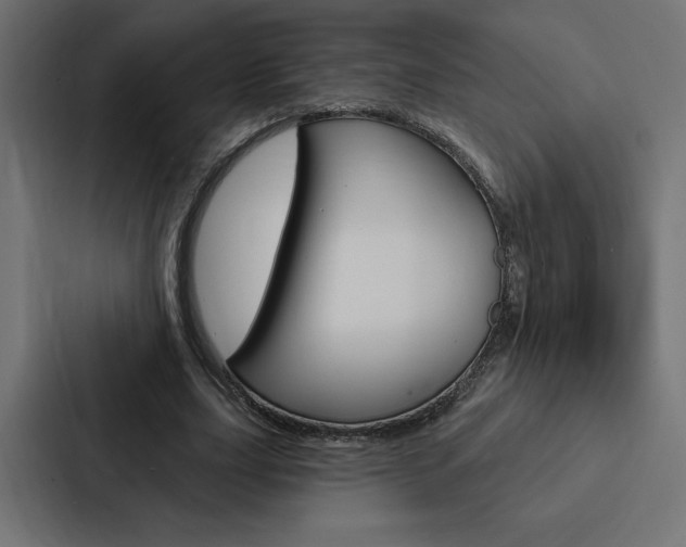 X0000088180631200705150940