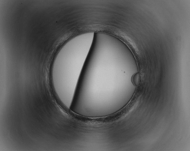 X0000088180633200705150940
