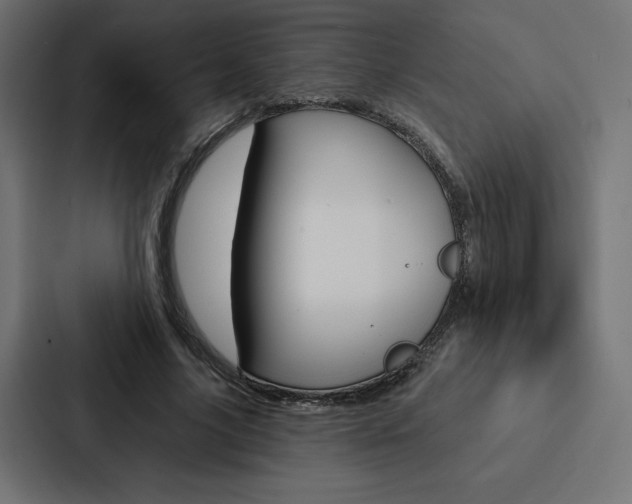 X0000088180635200705150940