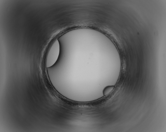 X0000088180636200705150940