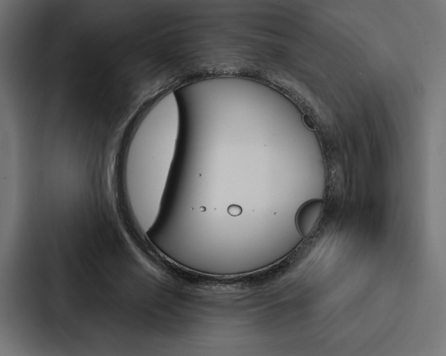 X0000088180638200705150940