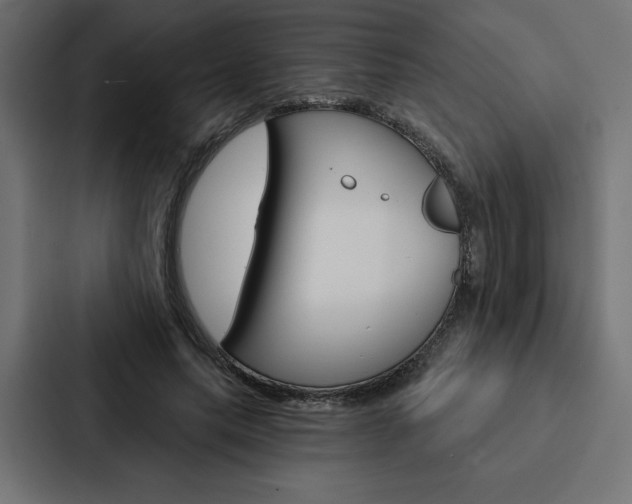 X0000088180639200705150940