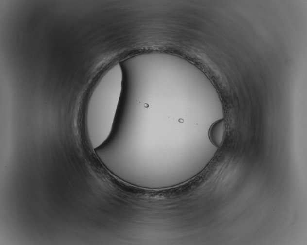 X0000088180640200705150940