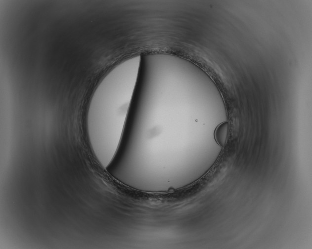 X0000088180641200705150940