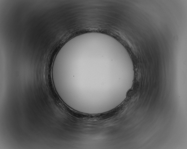 X0000088180643200705150940