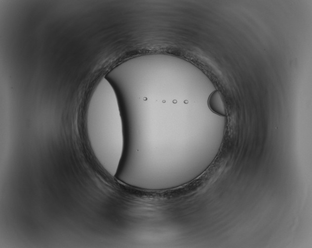X0000088180644200705150940