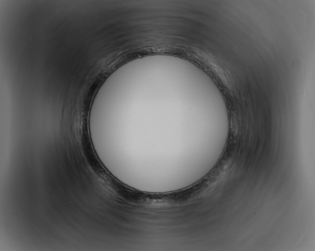 X0000088180645200705150940