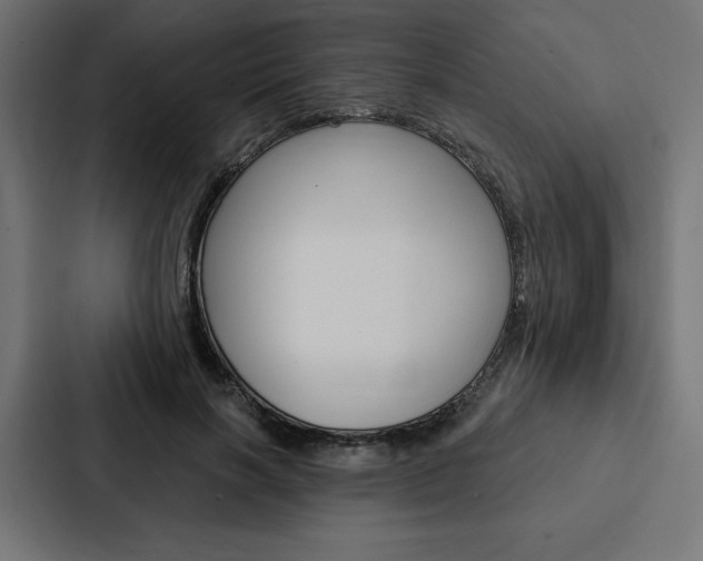 X0000088180646200705150940