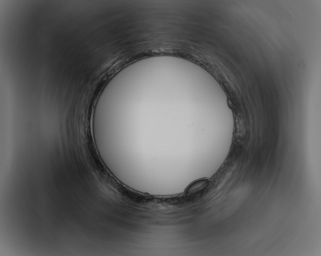 X0000088180648200705150940