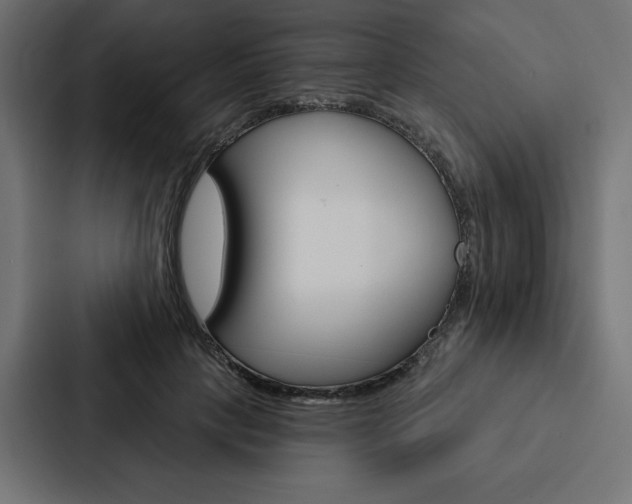 X0000088180649200705150940