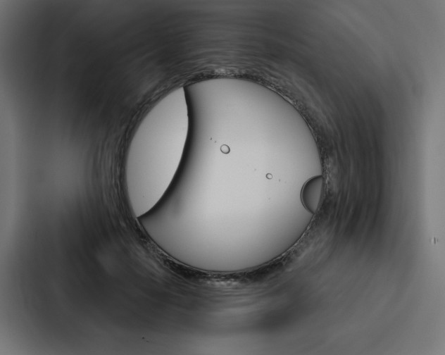 X0000088180650200705150940