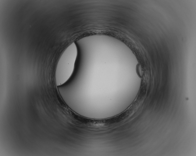 X0000088180651200705150940