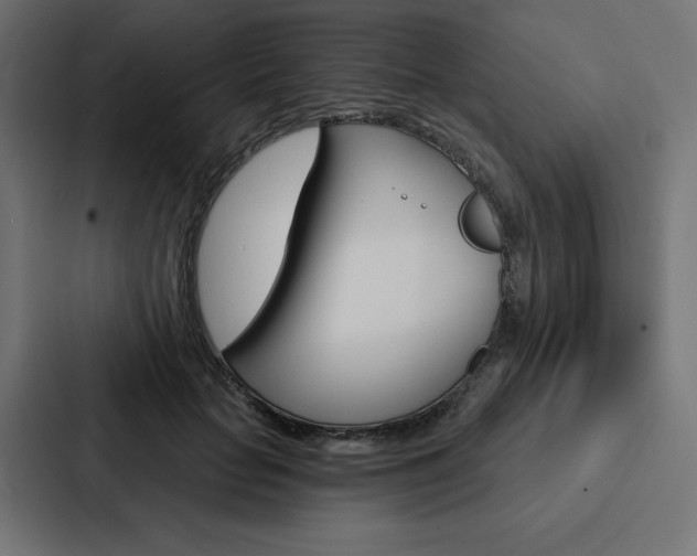 X0000088180653200705150940