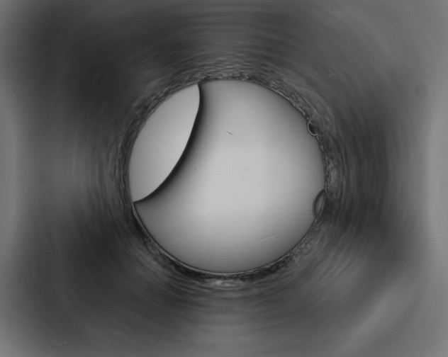 X0000088180654200705150940