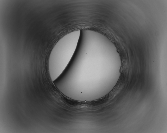 X0000088180655200705150940