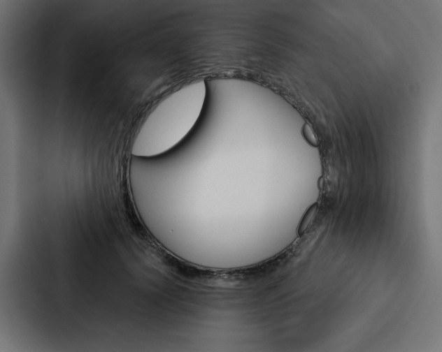 X0000088180656200705150940