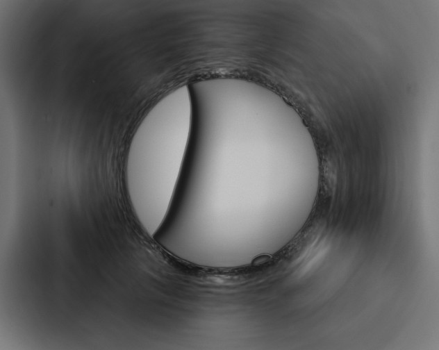 X0000088180657200705150940
