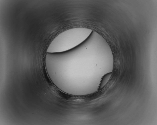 X0000088180658200705150940