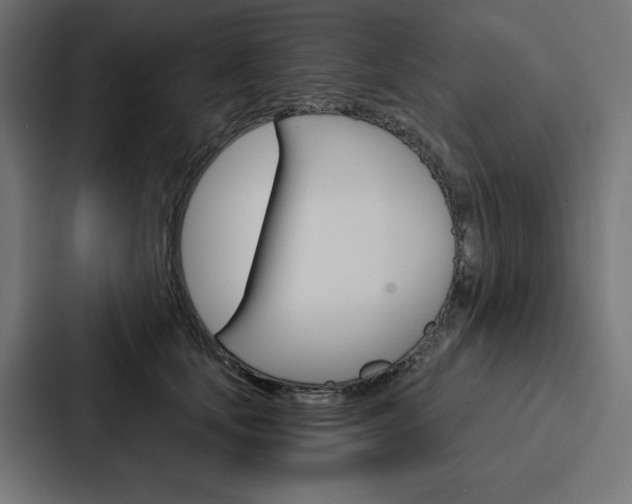 X0000088180659200705150940