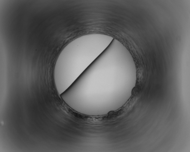 X0000088180660200705150940