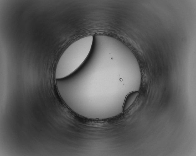 X0000088180661200705150940