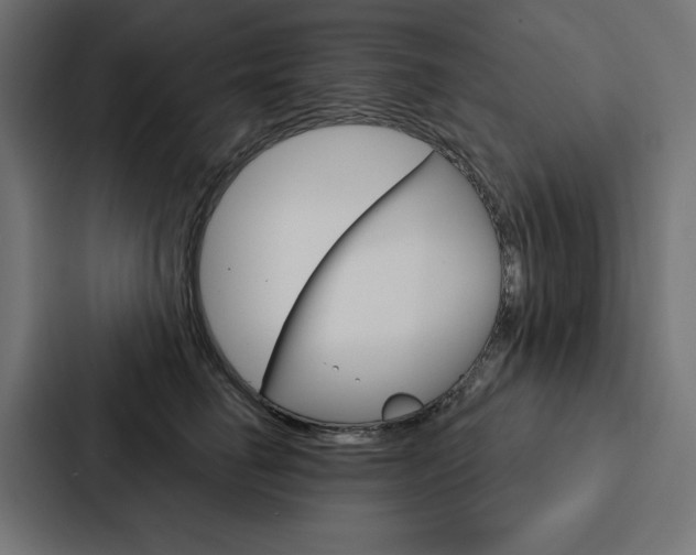 X0000088180662200705150940