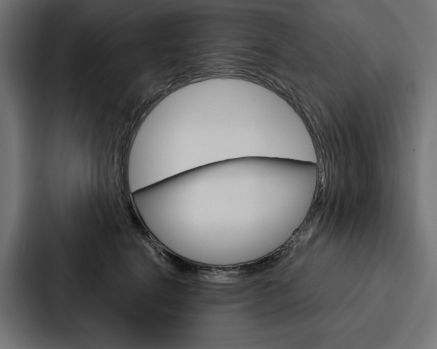 X0000088180664200705150940