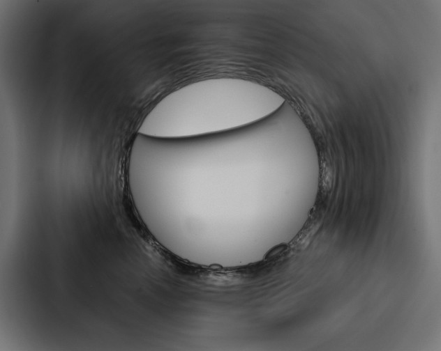 X0000088180666200705150940