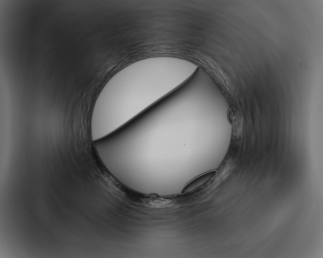 X0000088180669200705150940
