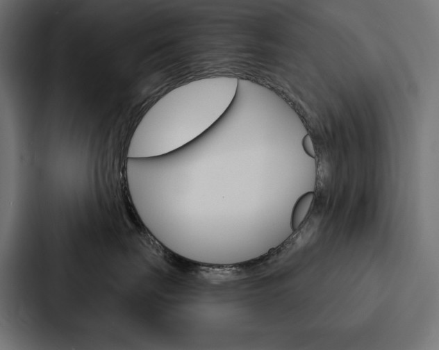 X0000088180671200705150940