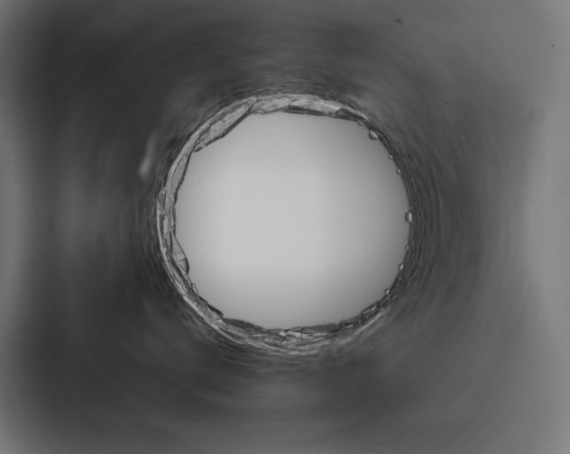 X0000088180672200705150940