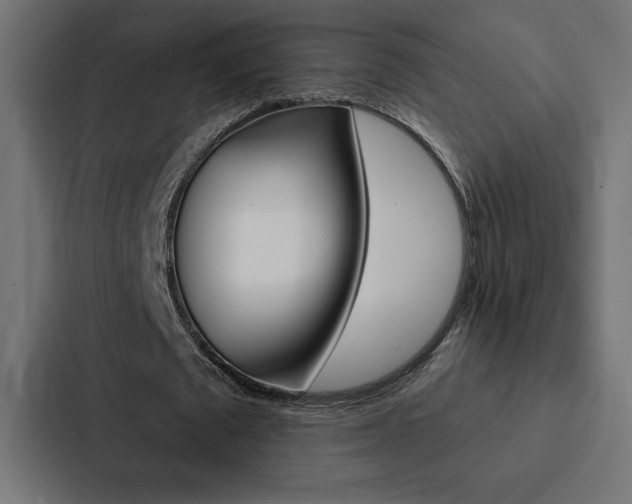 X0000088180673200705150940