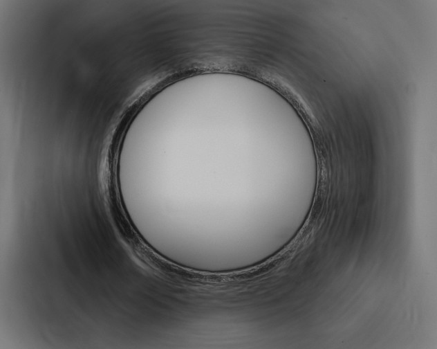 X0000088180674200705150940