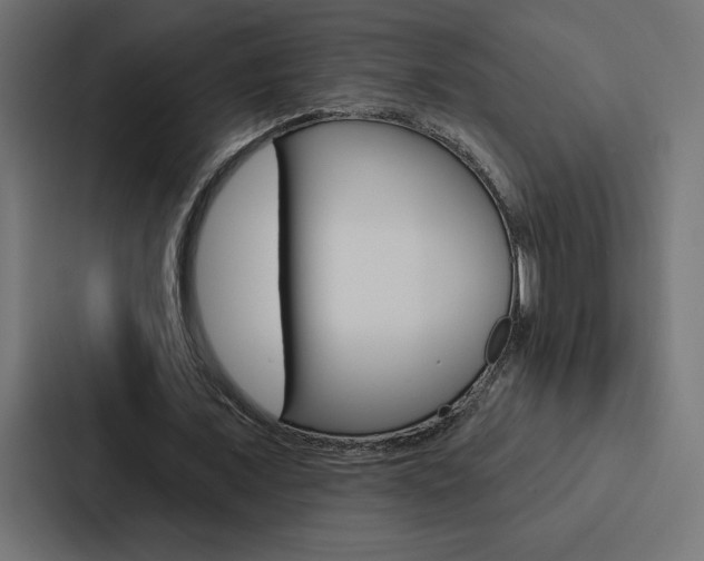 X0000088180675200705150940