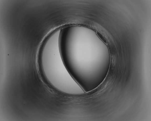 X0000088180676200705150940