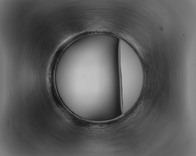 X0000088180680200705150940