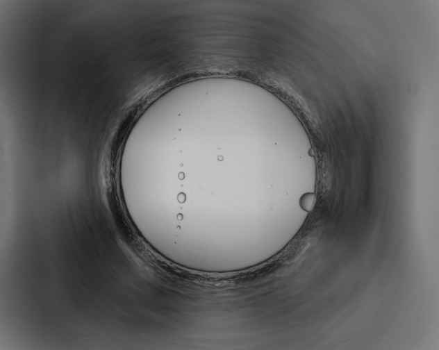 X0000088180683200705150940