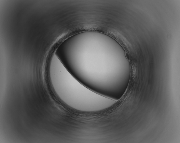 X0000088180684200705150940