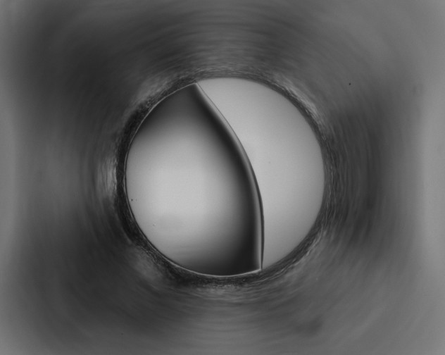 X0000088180685200705150940