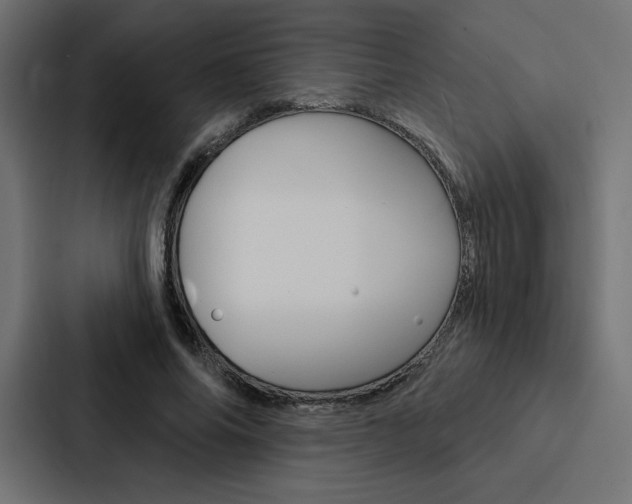 X0000088180686200705150940