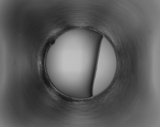 X0000088180688200705150940