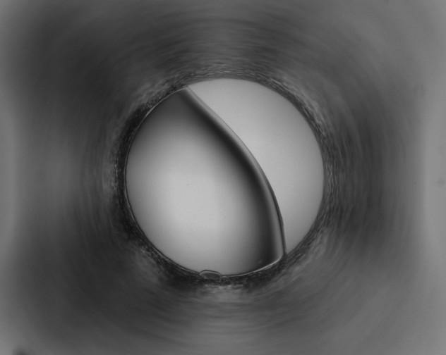 X0000088180689200705150940